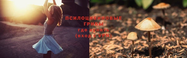 a pvp Карталы