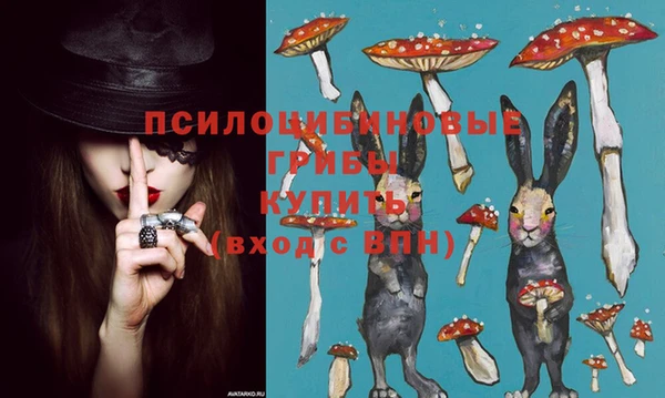 не бодяженный Карпинск